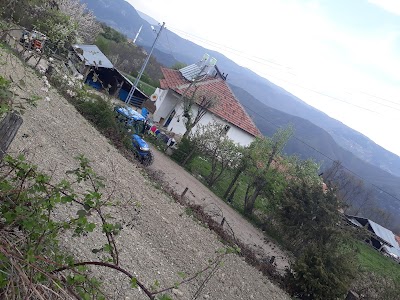 Cücübalanın evi