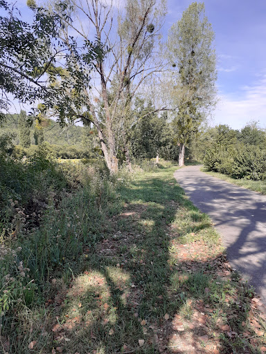 Voie Verte du Manoire - Thumbnail