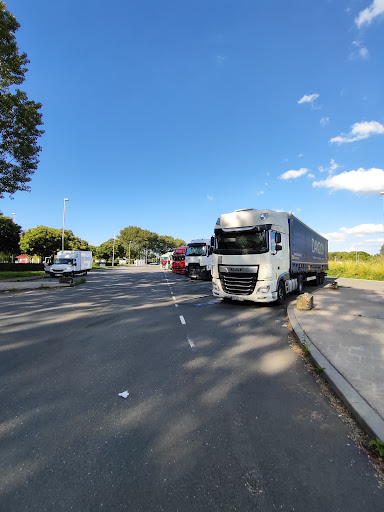 Aalscholver - Thumbnail
