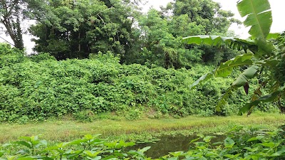 Photos of Shibbari Temple