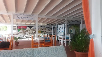 Photos of Anchorage Hotel & Dive Center
