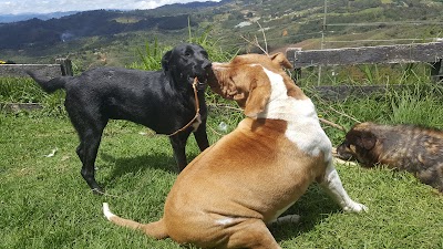 Photos of They go by Colombia