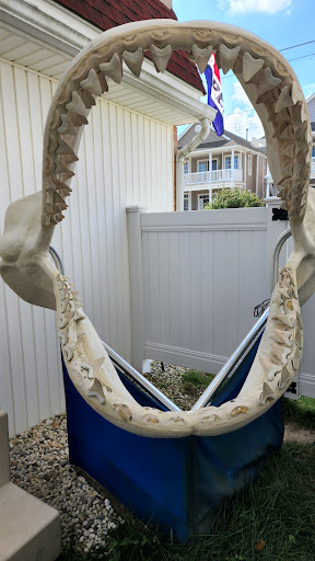 Discovery Seashell Museum - Visual