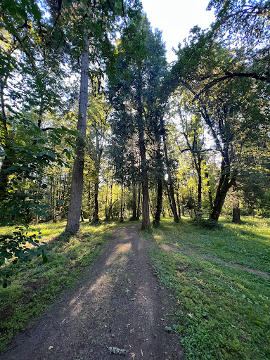 Osgood Park - Visual