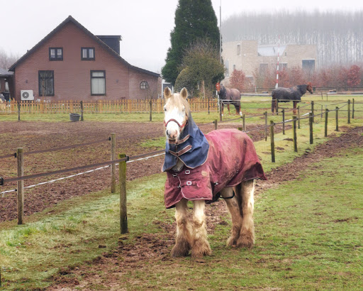 Landgoed Bijvanck - Thumbnail