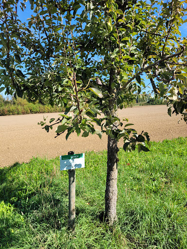 Obstbaumlehrpfad Bad Saulgau - Thumbnail