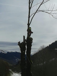 Photo n°4 de Horizon des Cimes - Travaux hauteur élagage à Bagnères-de-Luchon (Entreprise de nettoyage de vitres)