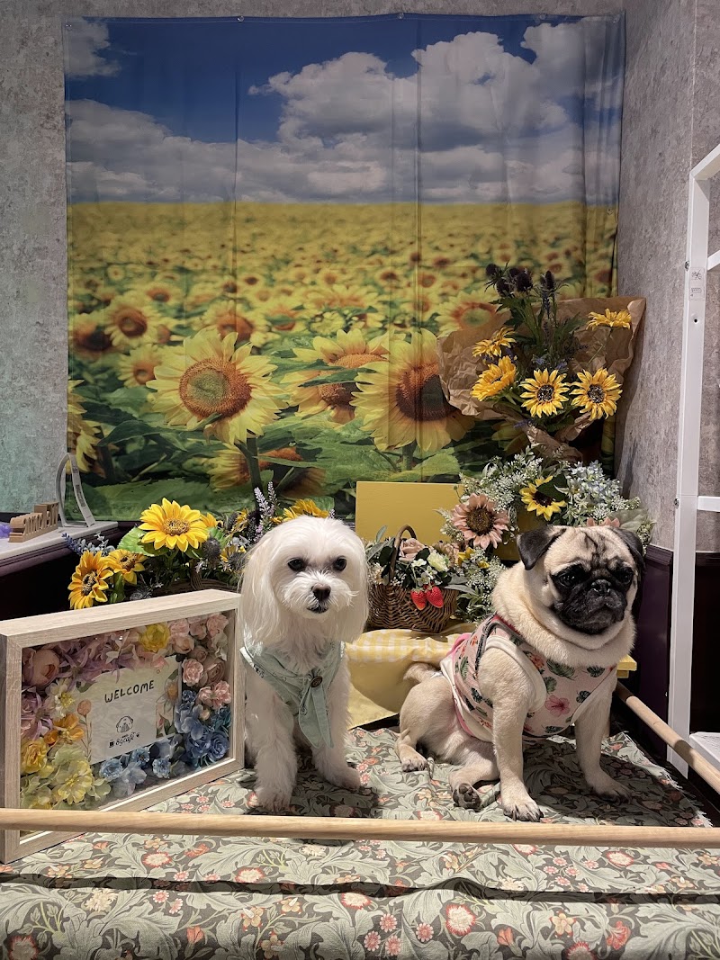 89cafe パグカフェ 空堀商店街