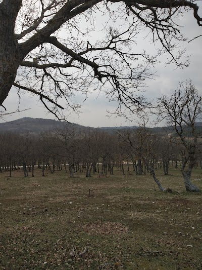 Kurudere Kamp Ve Piknik Alanı