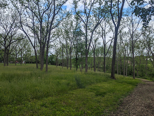 Chestnut Grove Park