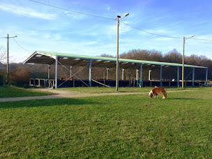 Photo n°3 de ÉCURIES DE LA VILLE AU BOIS à Saint-Hilliers (Écurie)