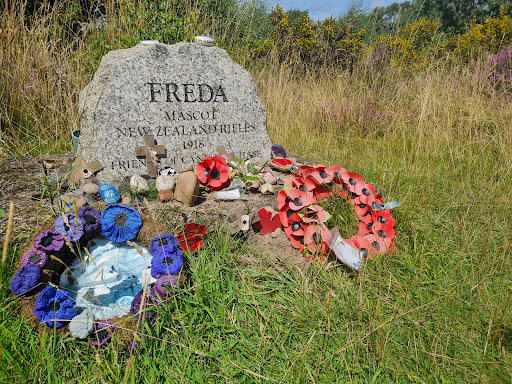 Freda's Grave - Visual