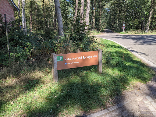 Parkeerplaats Natuurgebied Springendal - Thumbnail
