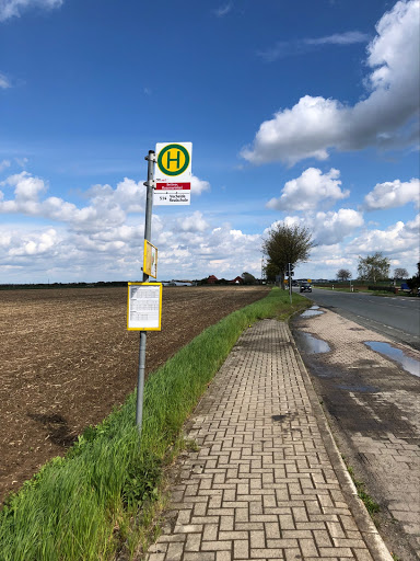 Bettmar(Vechelde) Rosenwinkel - Thumbnail