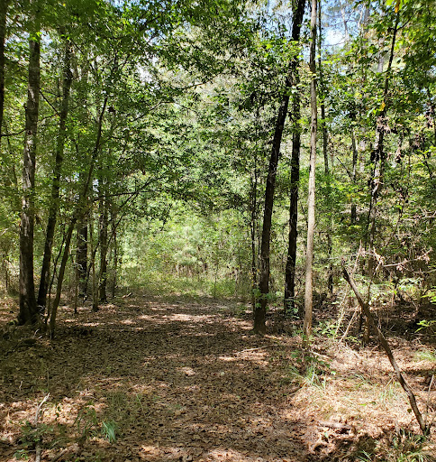 Camp Krenari - Visual