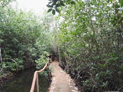 Photos of Tours Ci&eacute;naga La Caimanera "Cacha"