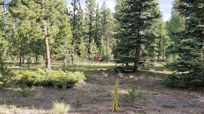 Photos of Buffalo Springs Campground