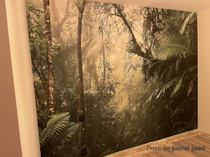 Photo n°3 de MV Rénovation à Roquettes (Peintre en bâtiment)