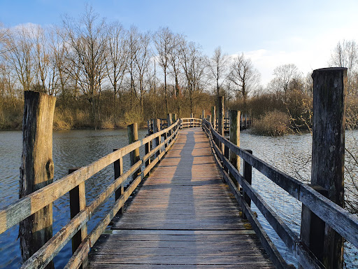 Marais de Fretin parking - Thumbnail