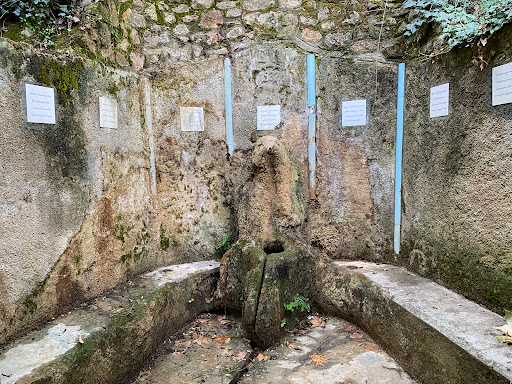 Peramola - Visual