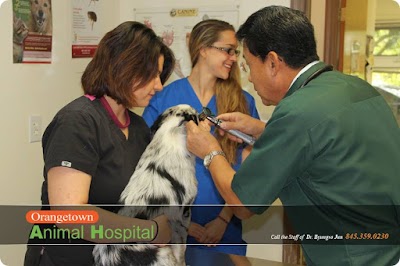 Orangetown Animal Hospital