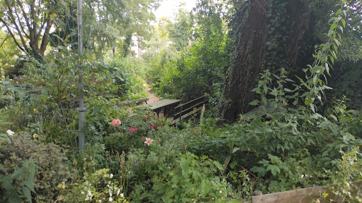 Toon yland plantsoen - Thumbnail