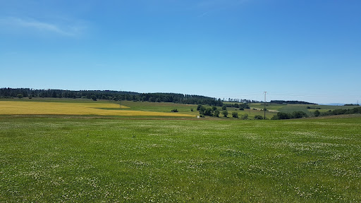 Fahrentriesch Bärenbachtal Arensberg Bloßenberg Nature Reserve