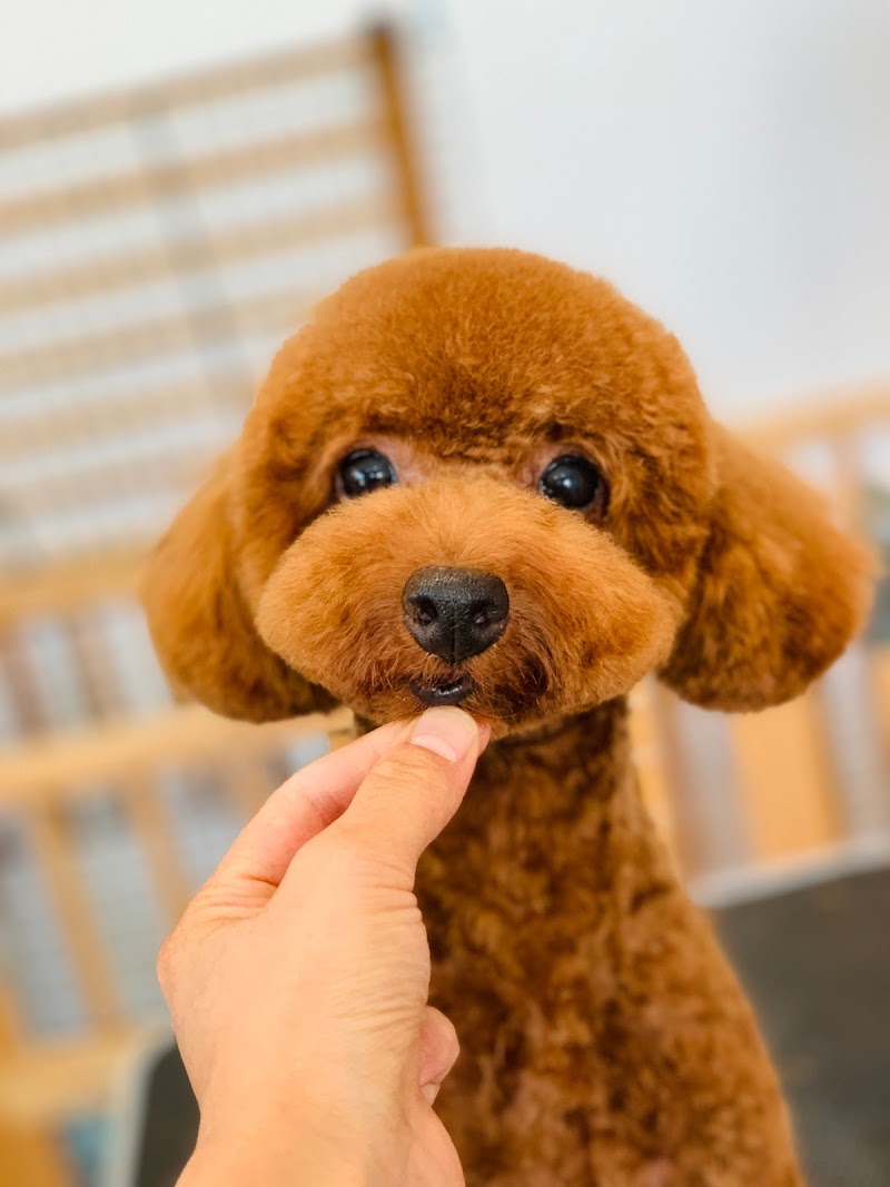 dog salon LEAF ドッグサロンリーフ