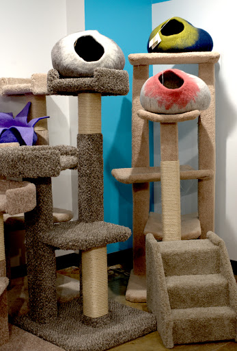 Cat Connection - Thumbnail