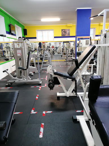 Palestra Level - Visual