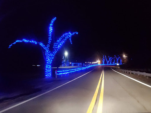 Oglebay Winter Festival of Lights - United States