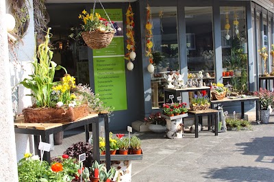 Photos of Vergiss mein nicht, Floristikpur GmbH