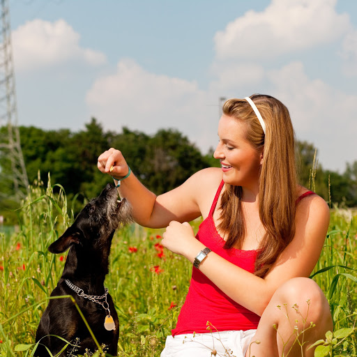Petliving Logo