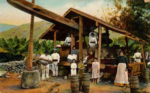 Bodega Caserío Miradero