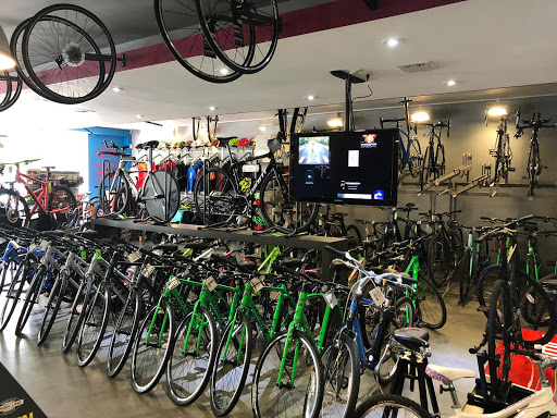 Peloton Key Biscayne Gallery - United States