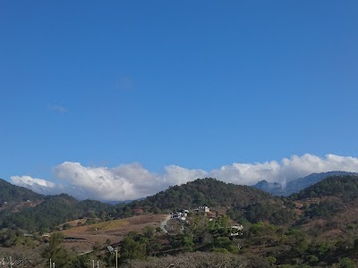 Photos of Pachalum Park