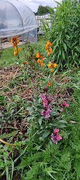 Photo n°38 de Fleurs et Pépins à Beuvillers (Jardin)