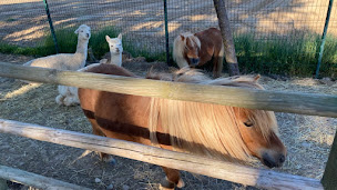 Photo n°47 de Corbi Park - Parc d'Attractions Animalier à Corbières-en-Provence (Terrain de jeu)