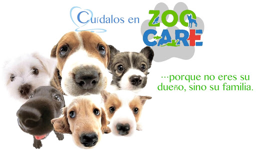 ZOOCARE Cholul