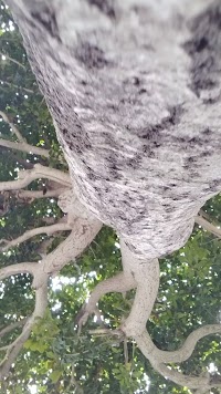 中希望が丘第三公園