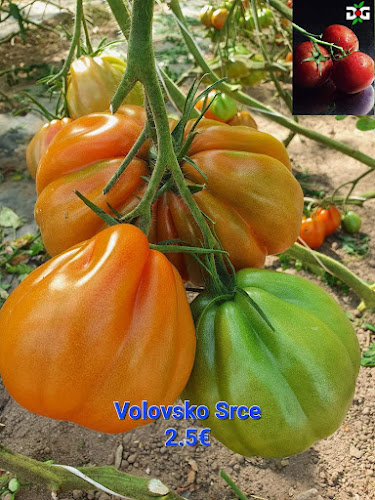 Daglas Gemüse photo