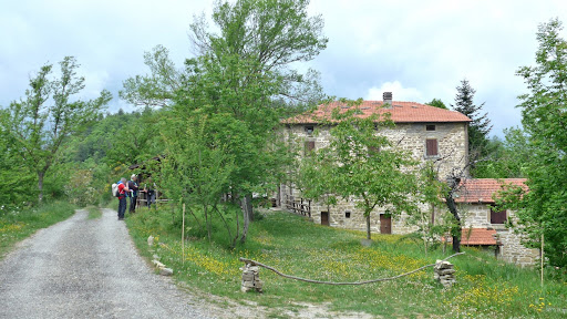 Camazzera