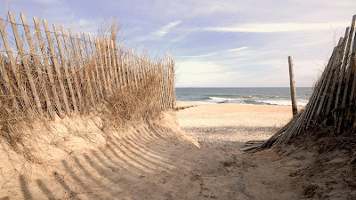 Beach Bound Realty | Coastal Delaware & Coastal Maryland Real Estate Agency