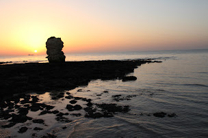 Photo n°38 de Cottage de Lulu, Villa Lucas Gîte Meschers à Meschers-sur-Gironde (Maison de vacances non-fumeurs)