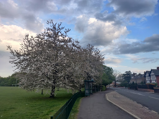 Egham - Visual