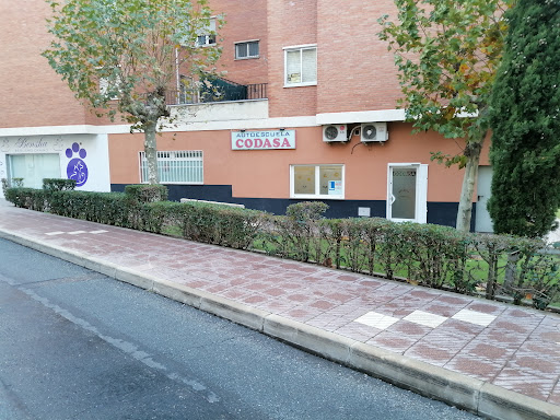 Codasa - Visual