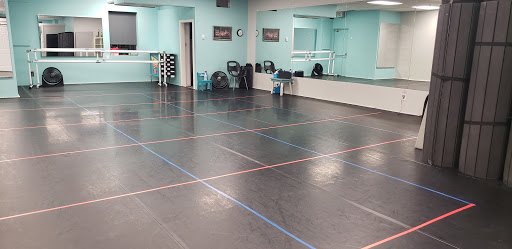 The Dance Workshop - Visual
