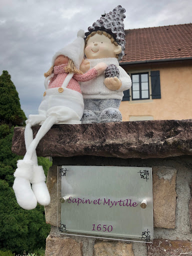Photo de SapinMyrtille à Dommartin-lès-Remiremont (88200)