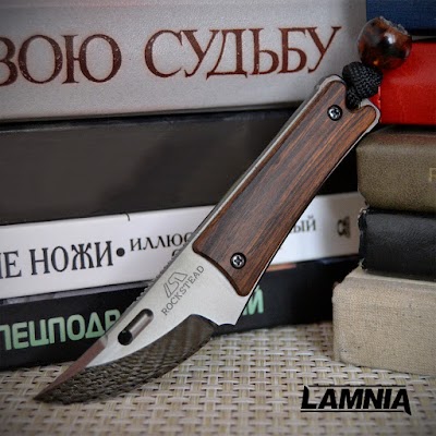 Photos of Lamnia
