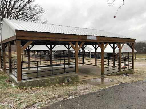 Buschmann Barn - Visual